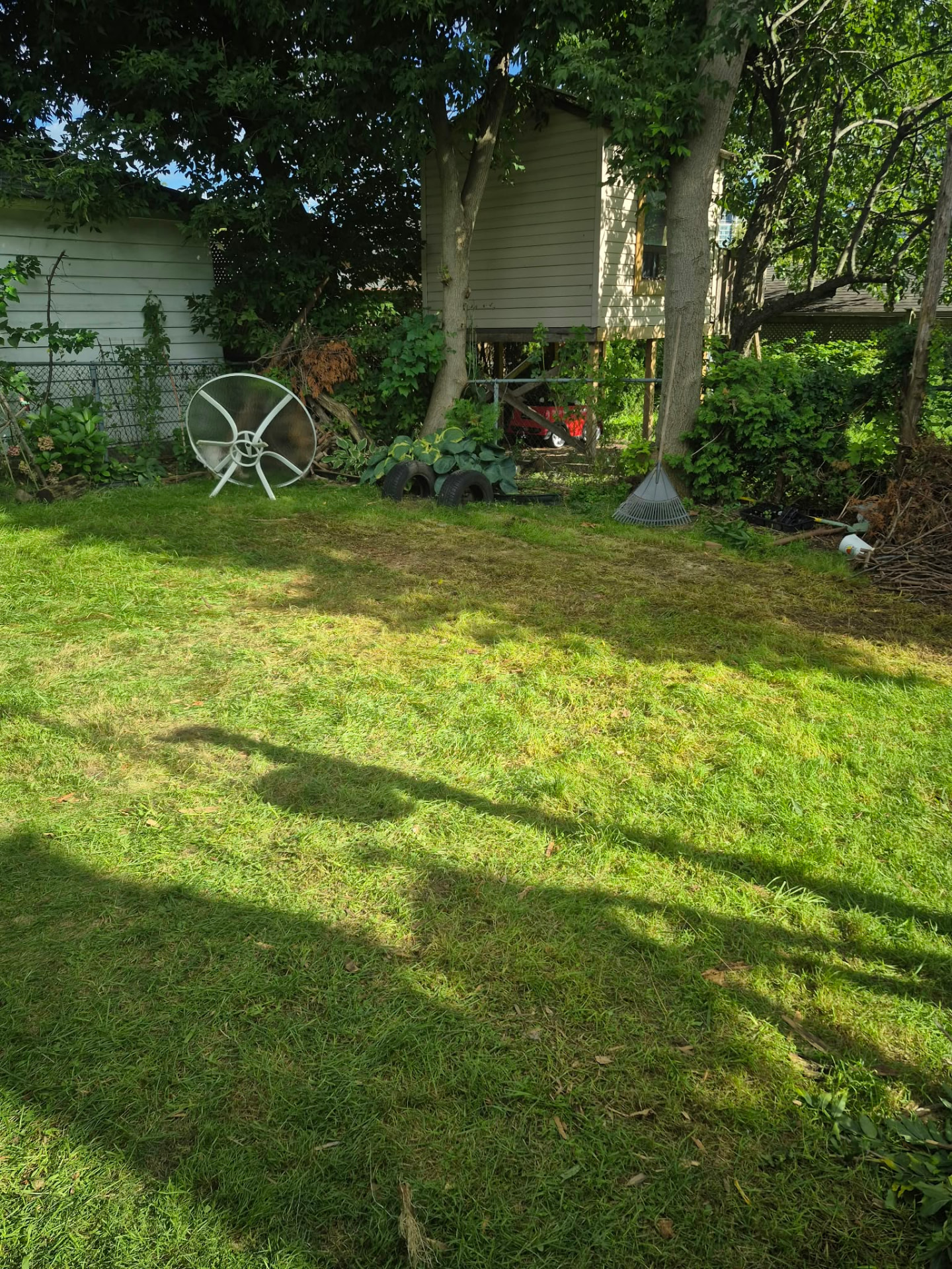 After: backyard debris removal — space cleared by Acemovers